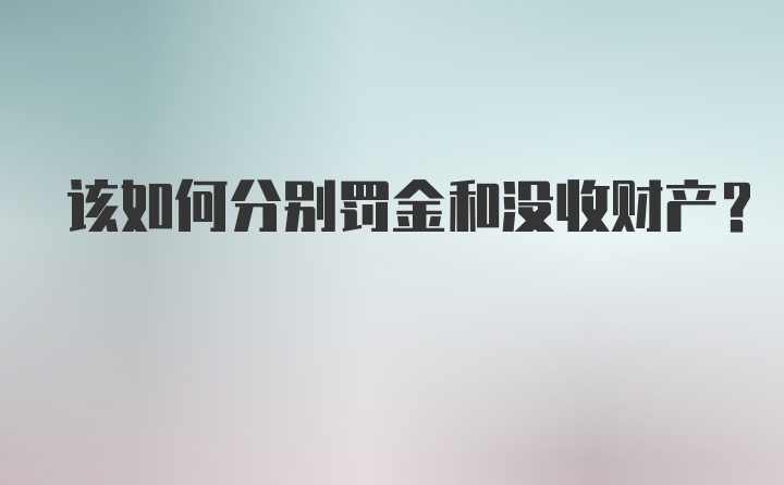 该如何分别罚金和没收财产?