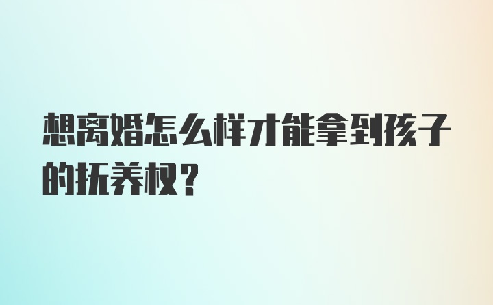 想离婚怎么样才能拿到孩子的抚养权？