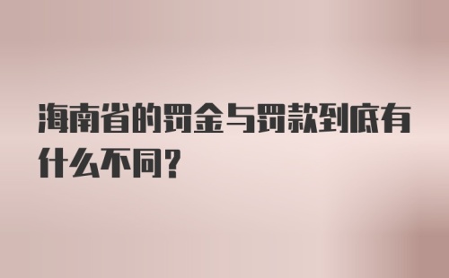 海南省的罚金与罚款到底有什么不同?