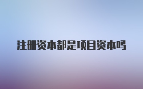 注册资本都是项目资本吗