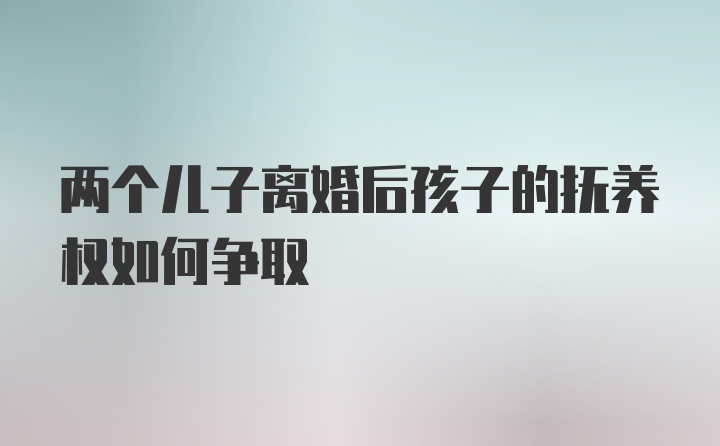 两个儿子离婚后孩子的抚养权如何争取