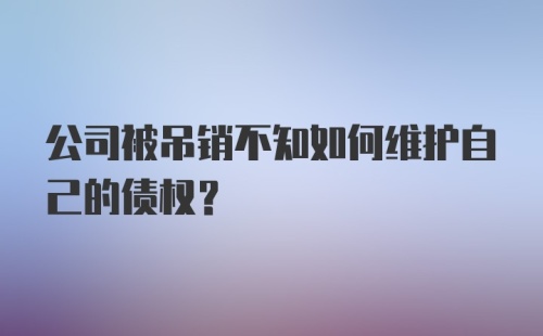 公司被吊销不知如何维护自己的债权？