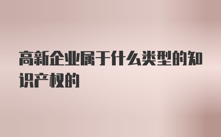 高新企业属于什么类型的知识产权的