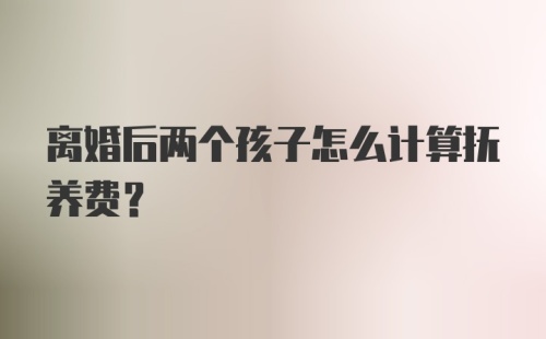 离婚后两个孩子怎么计算抚养费？