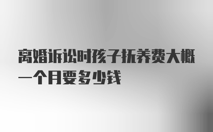 离婚诉讼时孩子抚养费大概一个月要多少钱