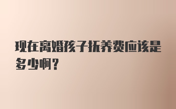 现在离婚孩子抚养费应该是多少啊？