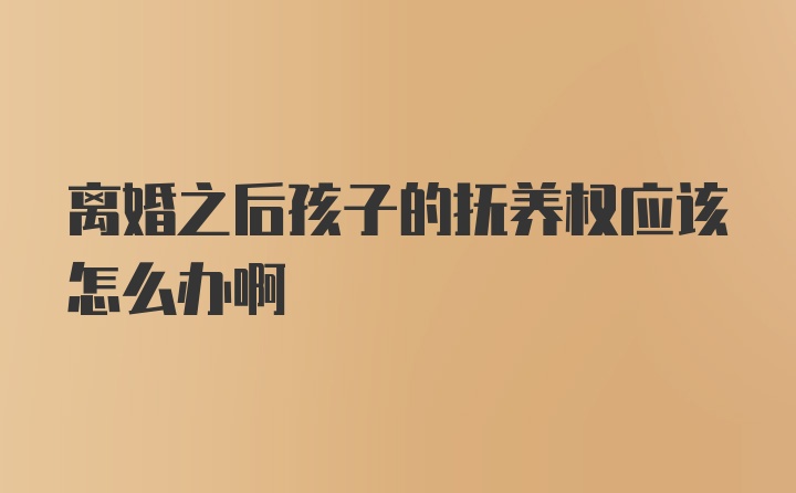 离婚之后孩子的抚养权应该怎么办啊