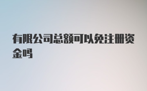 有限公司总额可以免注册资金吗