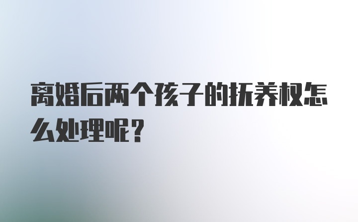 离婚后两个孩子的抚养权怎么处理呢？