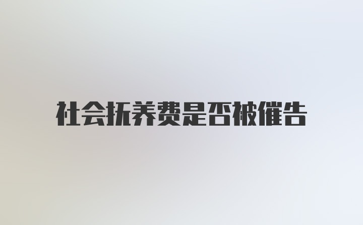 社会抚养费是否被催告