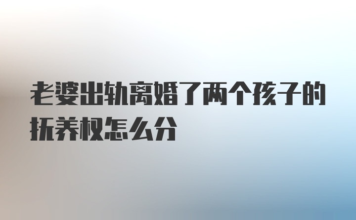 老婆出轨离婚了两个孩子的抚养权怎么分