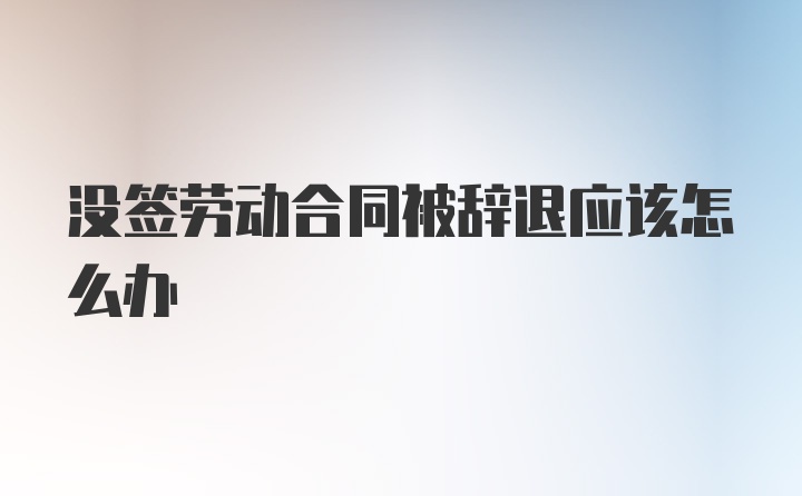 没签劳动合同被辞退应该怎么办