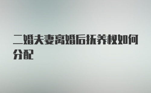 二婚夫妻离婚后抚养权如何分配