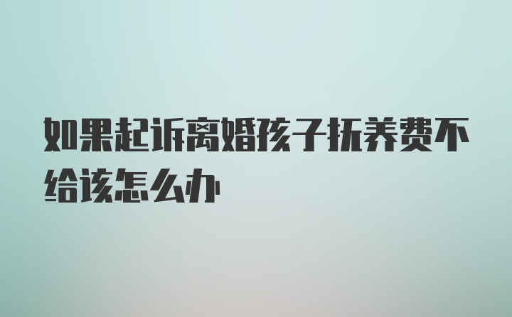 如果起诉离婚孩子抚养费不给该怎么办