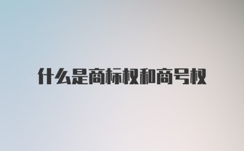 什么是商标权和商号权