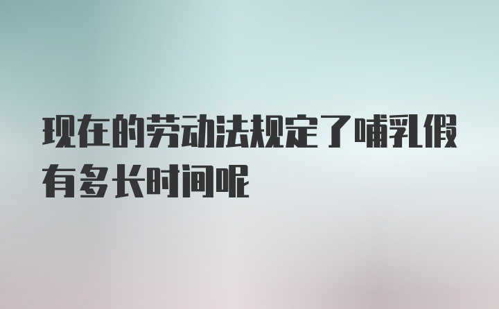 现在的劳动法规定了哺乳假有多长时间呢