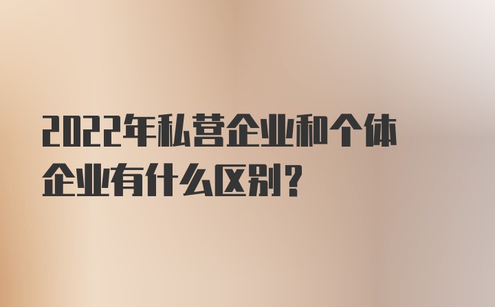 2022年私营企业和个体企业有什么区别？