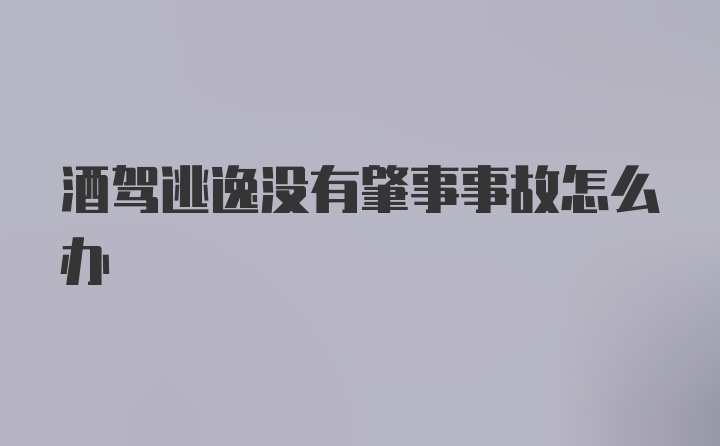 酒驾逃逸没有肇事事故怎么办