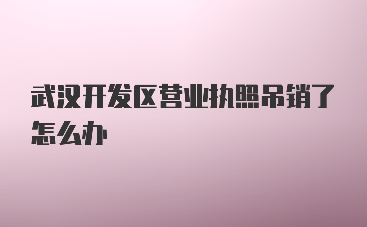 武汉开发区营业执照吊销了怎么办