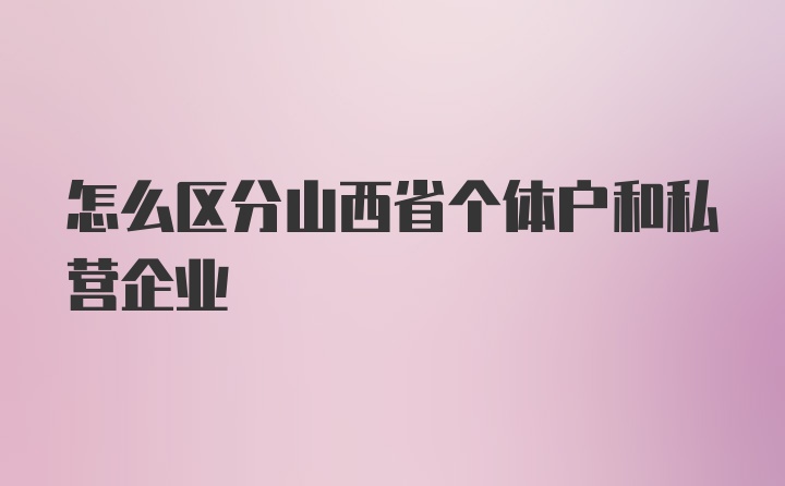 怎么区分山西省个体户和私营企业