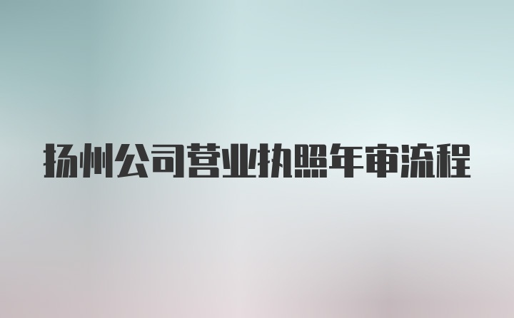 扬州公司营业执照年审流程