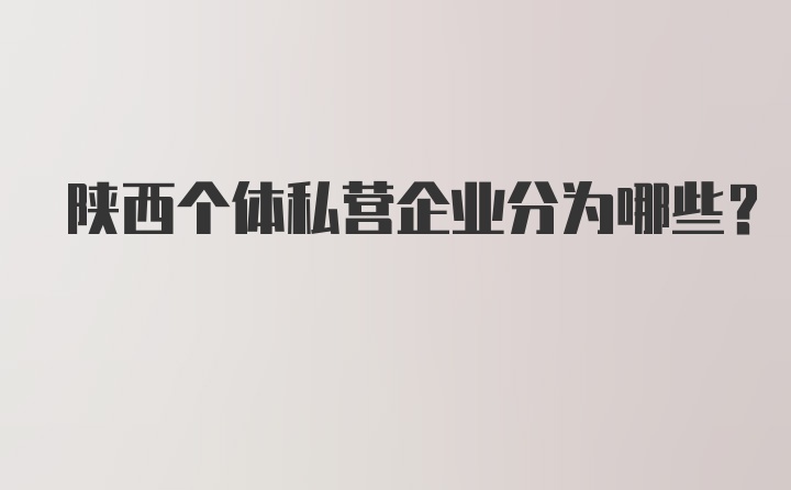 陕西个体私营企业分为哪些？