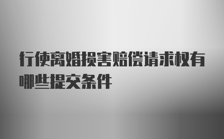 行使离婚损害赔偿请求权有哪些提交条件