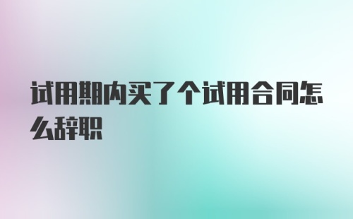 试用期内买了个试用合同怎么辞职