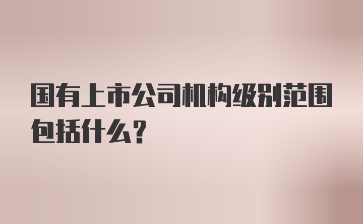 国有上市公司机构级别范围包括什么？