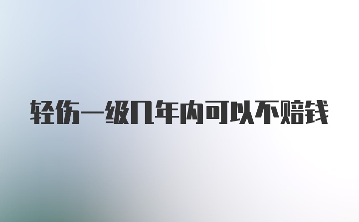 轻伤一级几年内可以不赔钱