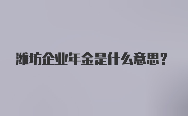 潍坊企业年金是什么意思?