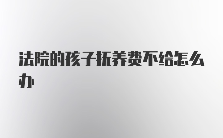 法院的孩子抚养费不给怎么办