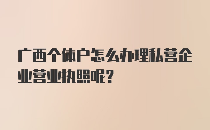 广西个体户怎么办理私营企业营业执照呢？