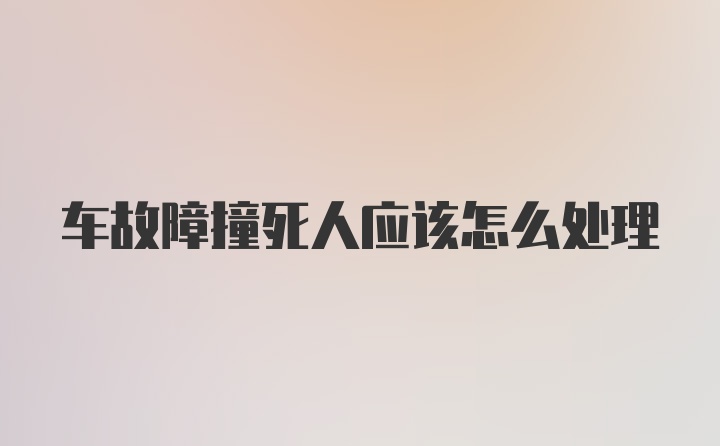 车故障撞死人应该怎么处理