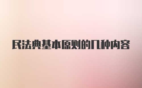 民法典基本原则的几种内容