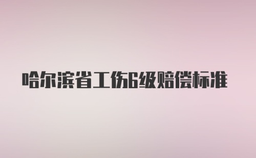 哈尔滨省工伤6级赔偿标准