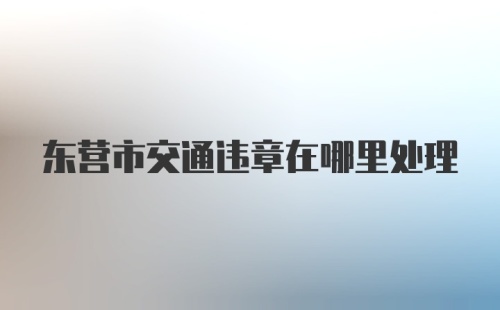 东营市交通违章在哪里处理