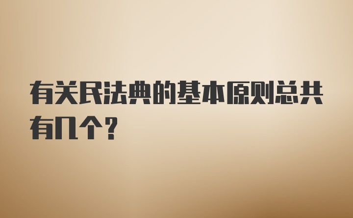 有关民法典的基本原则总共有几个？