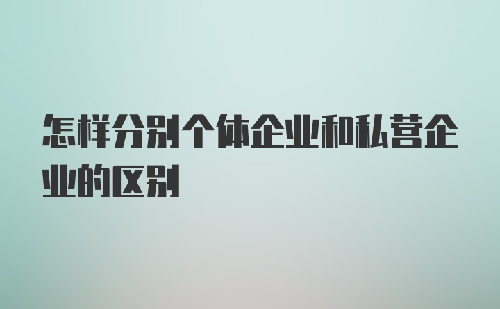 怎样分别个体企业和私营企业的区别