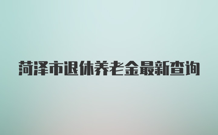 菏泽市退休养老金最新查询