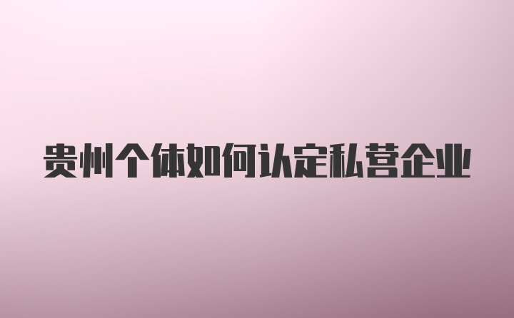 贵州个体如何认定私营企业