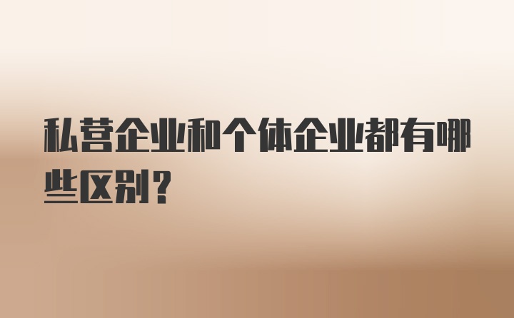 私营企业和个体企业都有哪些区别？