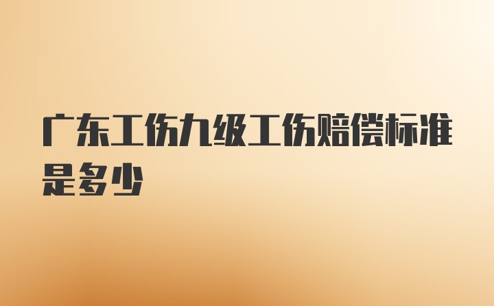 广东工伤九级工伤赔偿标准是多少