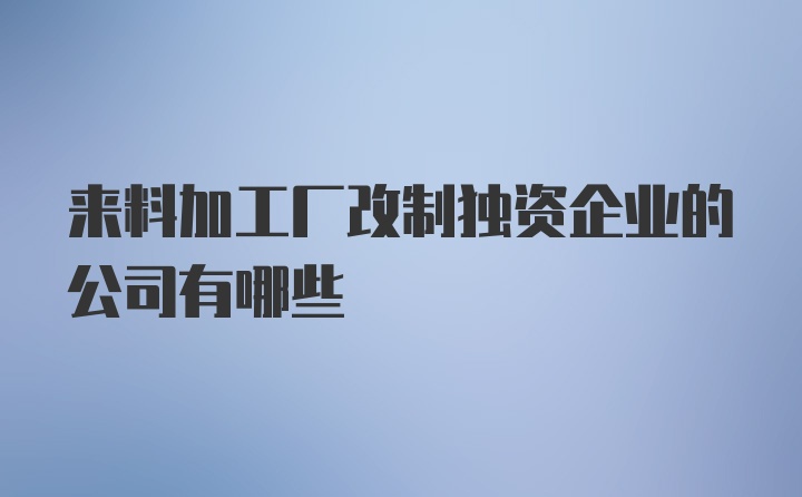 来料加工厂改制独资企业的公司有哪些