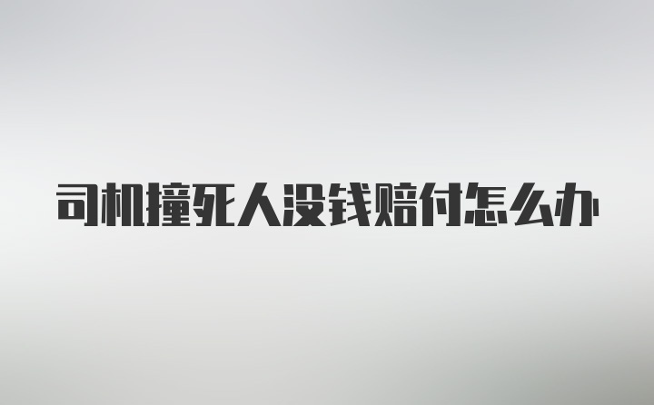 司机撞死人没钱赔付怎么办