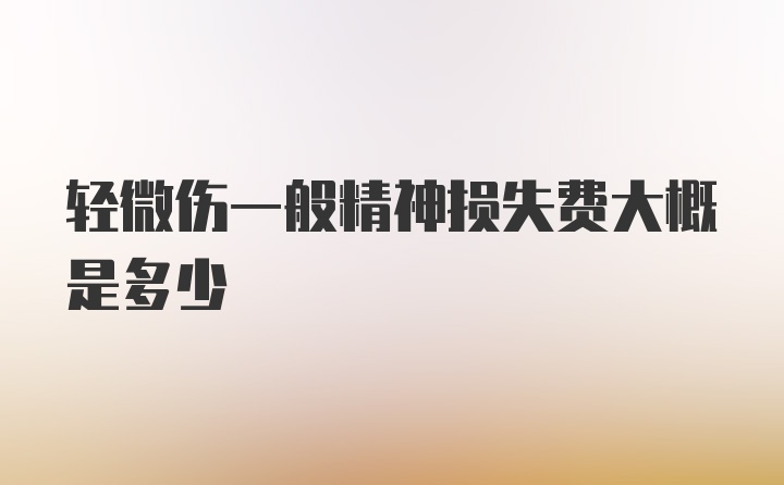 轻微伤一般精神损失费大概是多少