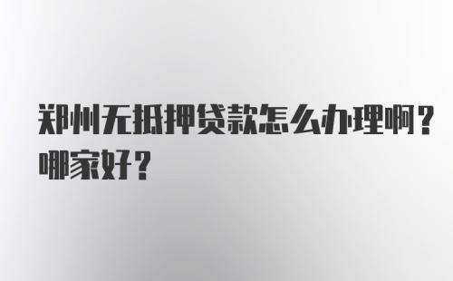 郑州无抵押贷款怎么办理啊？哪家好？