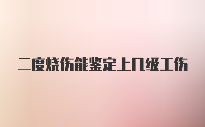 二度烧伤能鉴定上几级工伤