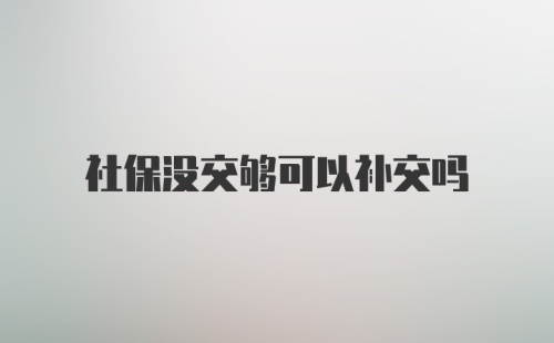 社保没交够可以补交吗