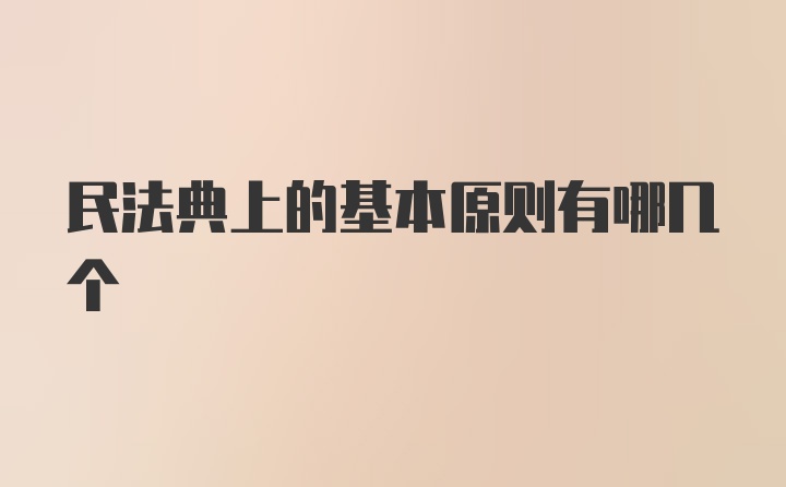 民法典上的基本原则有哪几个